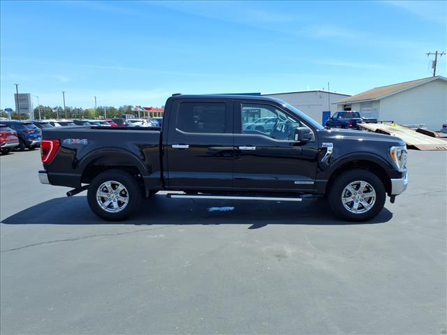 2023 Ford F-150 XLT:6461