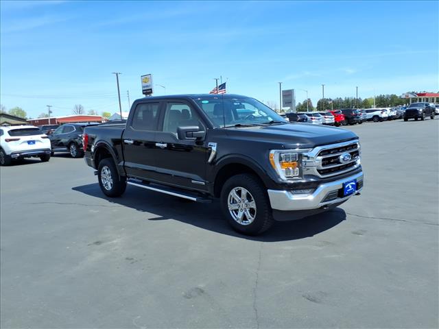 2023 Ford F-150 XLT:6461