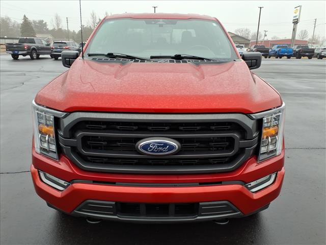 2023 Ford F-150 XLT:6431