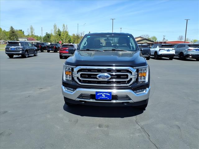 2023 Ford F-150 XLT:6461