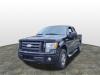 2009 Ford F-150