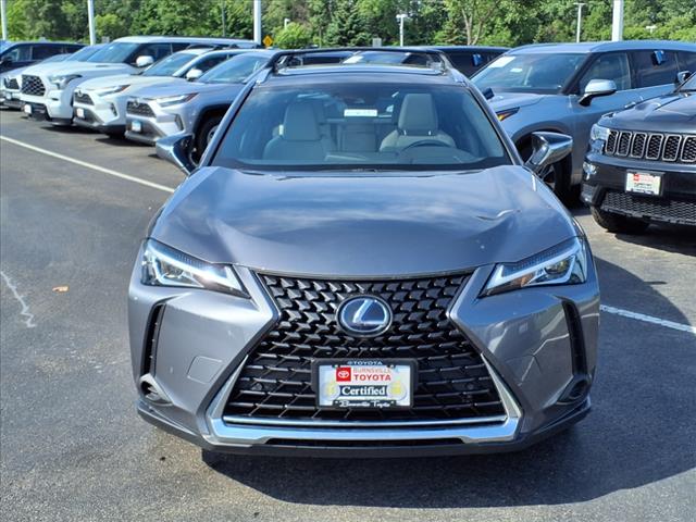 2020 Lexus UX 250h 