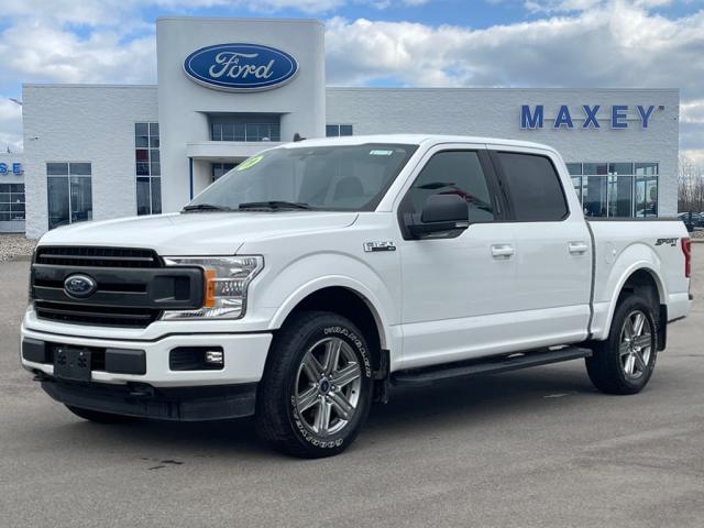 2019 Ford F-150  1