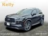 2023 Infiniti QX60