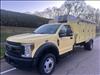 2019 Ford F 550