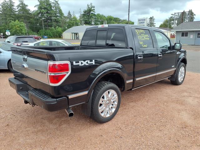 2014 Ford F-150 Platinum - Photo 4