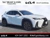 2019 Lexus UX 250h