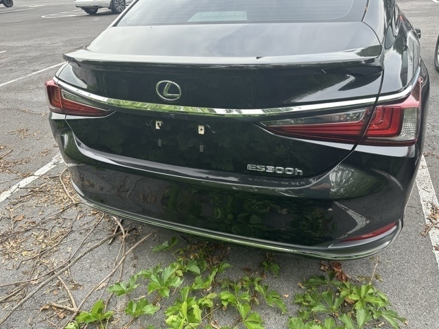 2021 Lexus ES 300h 300h