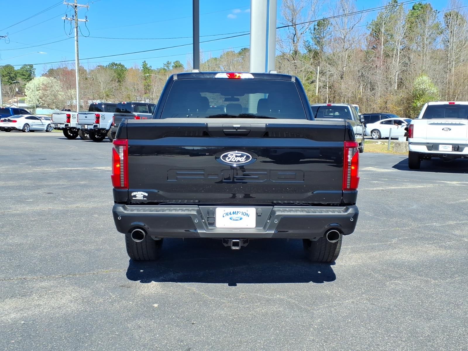 FordF-15019