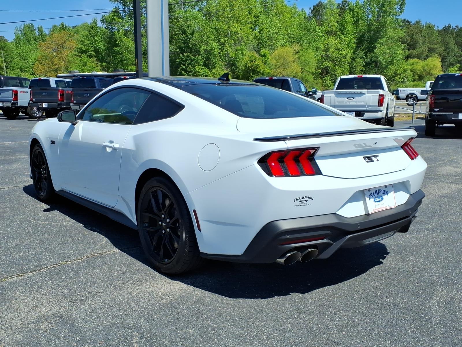 FordMustang21