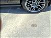 2012 Ford Shelby GT500 Base