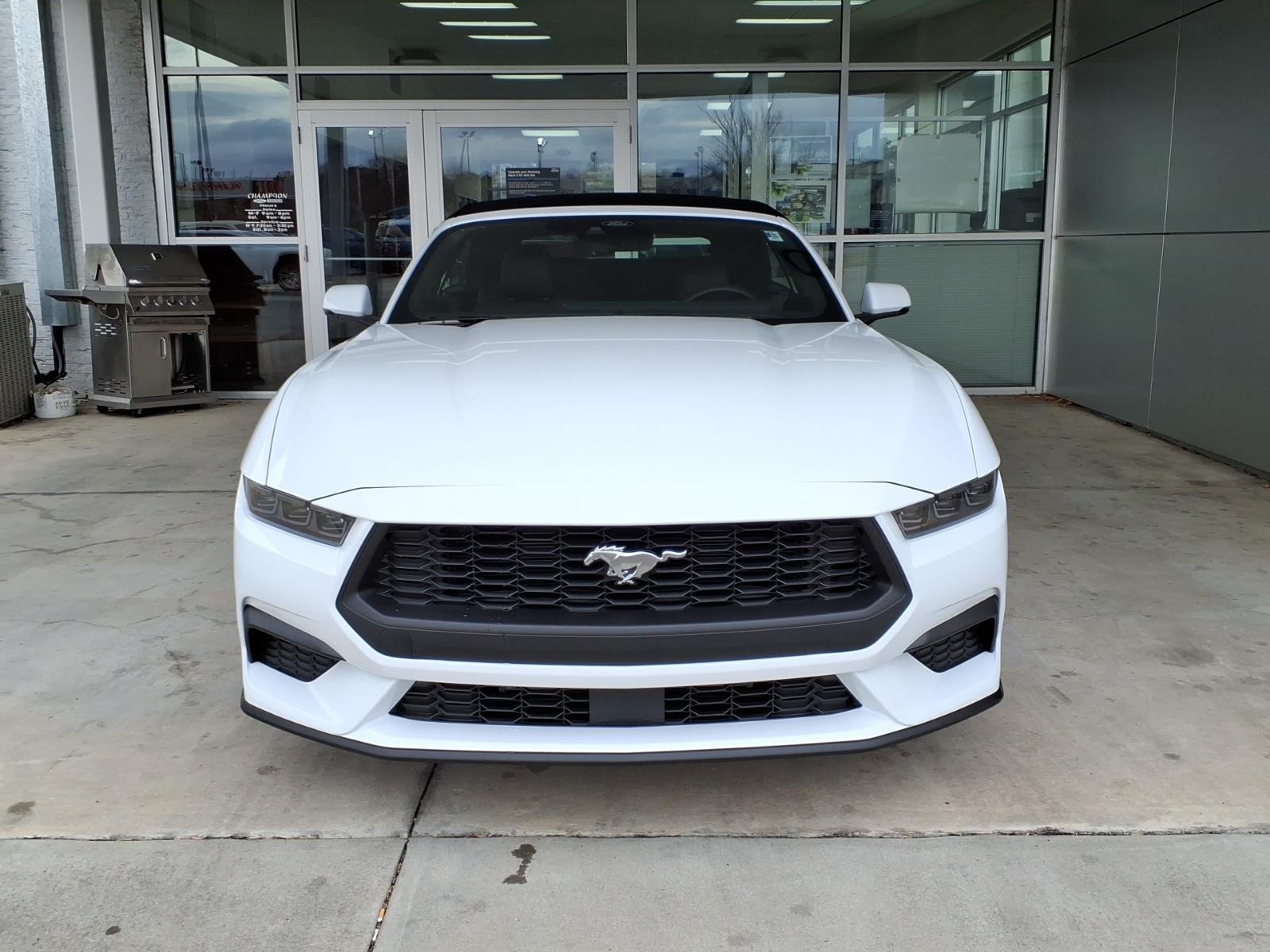 FordMustang2