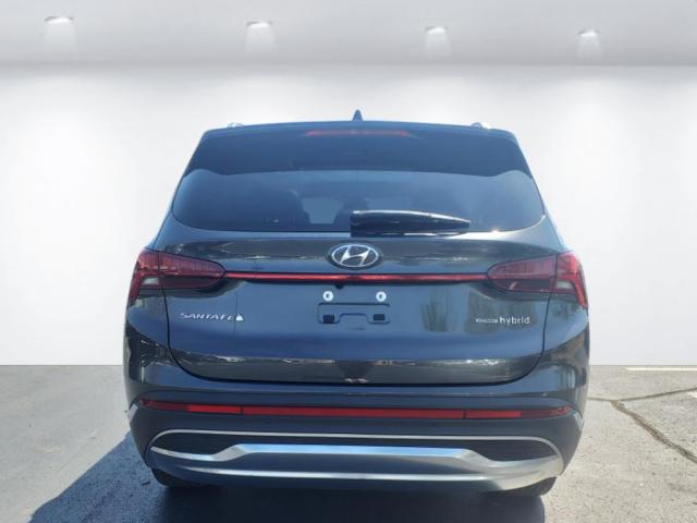 2023 Hyundai SANTA FE Hybrid LIMITED