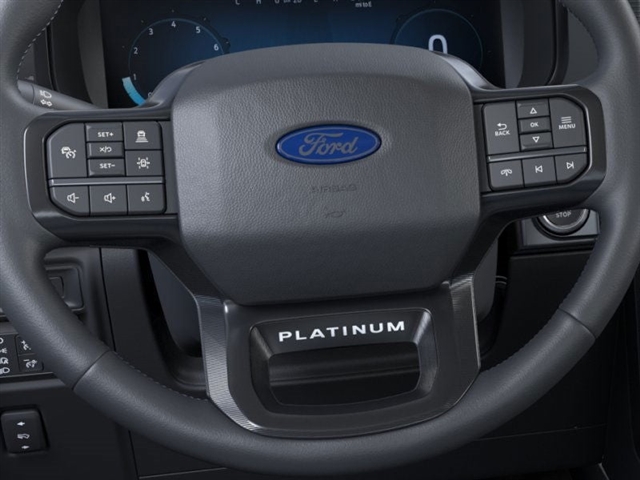 2024 Ford F-150 Platinum 12