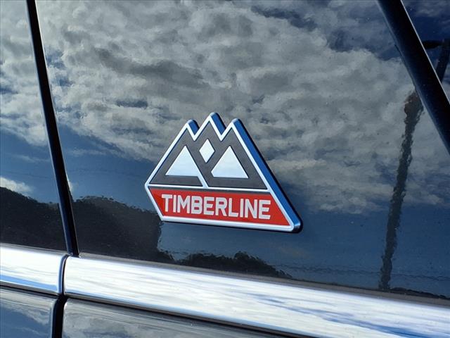 2022 Ford Expedition Timberline