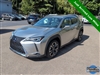 2020 Lexus UX 250h