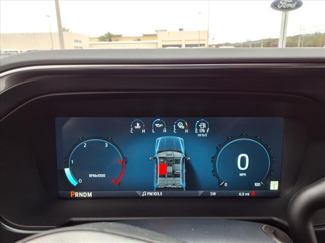 2025 Ford F-250 Super Duty F-250 Platinum - Photo 5