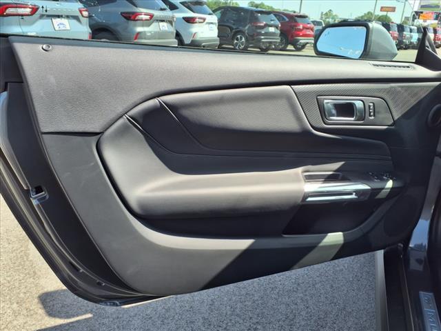 2025 Ford Mustang Ecoboost Premium Fastback - Photo 7