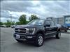 2022 Ford F-150 Platinum - thumbnail 19