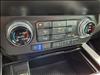 2020 Ford F-150 Platinum - thumbnail 10