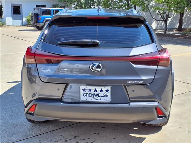 2023 Lexus UX 250h Premium