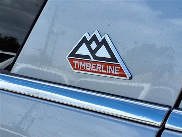 2024 Ford Expedition Timberline