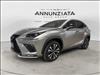 2021 Lexus NX 300