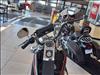 2005 Not Specified DAVIDSON SOFTTAIL