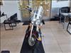 2005 Not Specified DAVIDSON SOFTTAIL