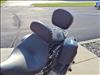 2008 Not Specified SOFTTAIL FXSTC softtail