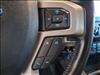 2020 Ford F-250 Super Duty Platinum