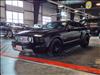 2006 Ford Mustang GT Deluxe