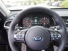 2017 Kia Cadenza Limited