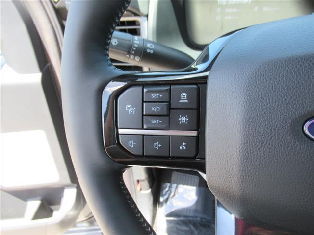 2025 Ford F-150 Lightning Platinum