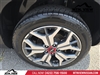 2023 Kia Seltos SX