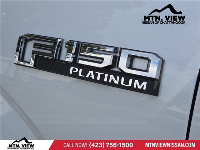 2019 Ford F-150 Platinum