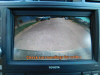 2010 Toyota Highlander Limited