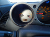2006 Nissan Maxima 3.5 SE