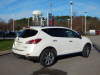 2013 Nissan Murano Platinum