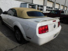 2006 Ford Mustang V6 Standard