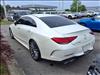 2019 Mercedes-Benz CLS CLS 450