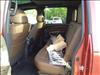 2023 Nissan Titan Platinum Reserve