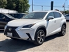 2021 Lexus NX 300