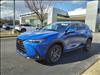 2025 Lexus NX 250