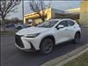 2025 Lexus NX 250