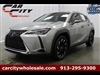 2020 Lexus UX 250h