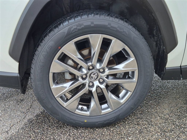 2020 Toyota RAV4 Limited:02570UU