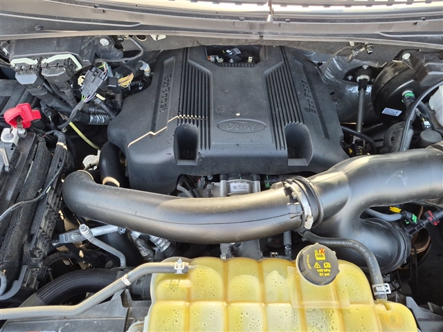 2019 Ford Expedition XLT:02600UU
