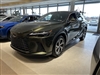 2025 Lexus RX