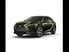 2025 Lexus RX